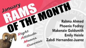 01 rotm list
